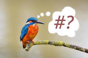 Avoiding Metadata Leaks: Data Privacy with Juremy (Part 2)